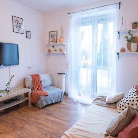 Home Studio Z Ogrodkiem Krasków Εξωτερικό φωτογραφία